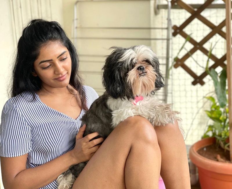 eesha rebba show her hot thunder thighs netizens mind block
