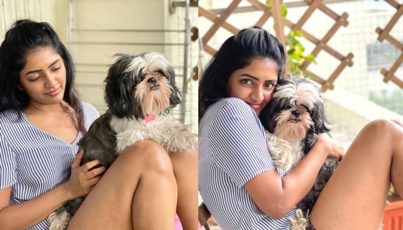 eesha rebba show her hot thunder thighs netizens mind block