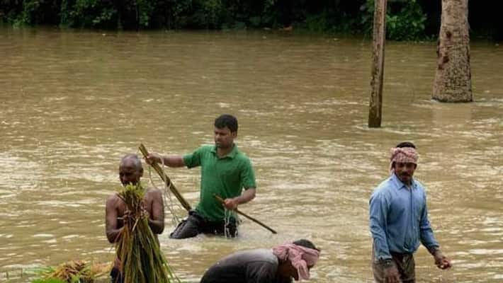 locals faced problem due to the flood situation in Murshidabad bmm locals faced problem due to the flood situation in Murshidabad bmm