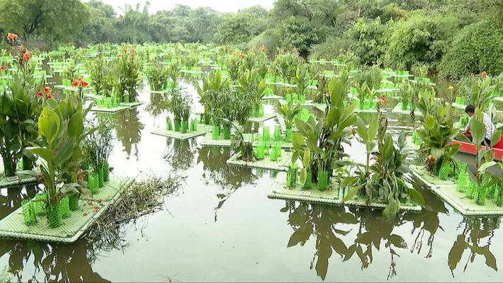 Delhi govt sets out model for recovery of polluted water bodies Studies show that water pollution is reduced Delhi govt sets out model for recovery of polluted water bodies Studies show that water pollution is reduced