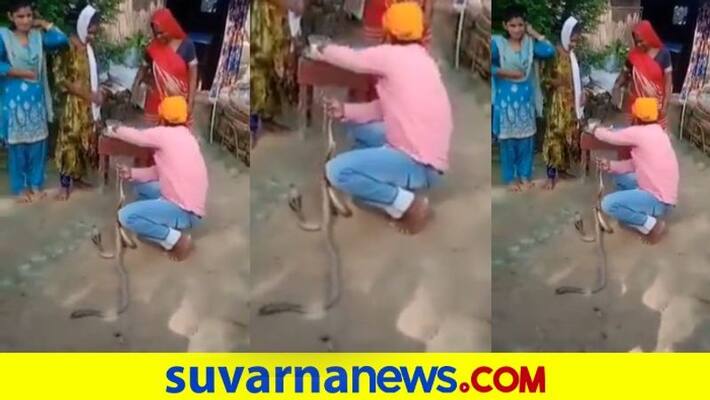 Bihar Man Ties Rakhi to Pair of Snakes on Raksha Bandhan Dies After It Bites Him dpl Bihar Man Ties Rakhi to Pair of Snakes on Raksha Bandhan Dies After It Bites Him dpl