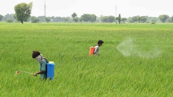 farmer trying to payback undeserved compensation by govt farmer trying to payback undeserved compensation by govt