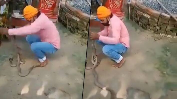 Man tries to tie rakhi to snakes on Raksha Bandhan, dies after it bites him in Bihar Man tries to tie rakhi to snakes on Raksha Bandhan, dies after it bites him in Bihar