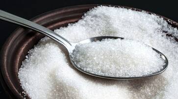 Sugar Price Hike in India: Sugar output in India's Maharashtra set to fall to lowest in 4 years after dry August RMA Sugar Price Hike in India: Sugar output in India's Maharashtra set to fall to lowest in 4 years after dry August RMA