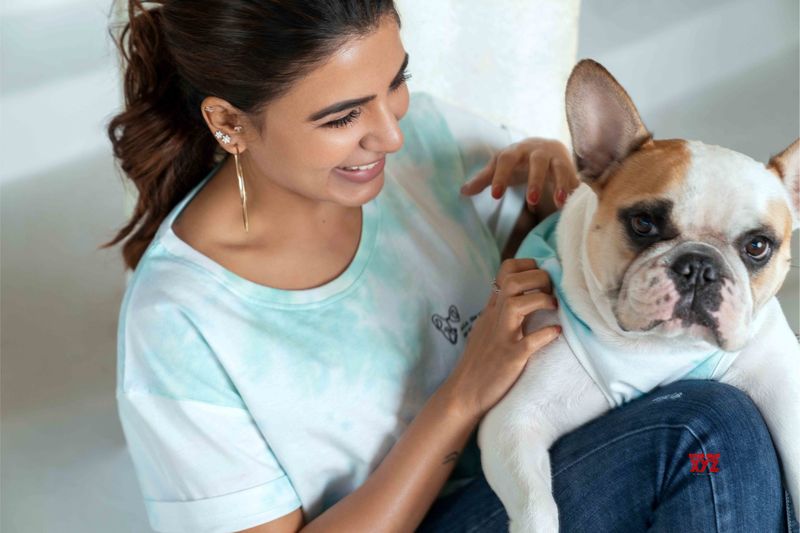 is samantha trying out from depression by spending time with her pets