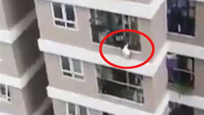 uttar pradesh news emotional story 12 year old girl dies falling from 9th floor building in ghaziabad uttar pradesh news emotional story 12 year old girl dies falling from 9th floor building in ghaziabad