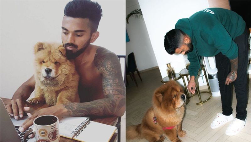 International Dog Day 2021: virat Kohli to Sachin tendulkar, these cricketers have most expensive pets with them