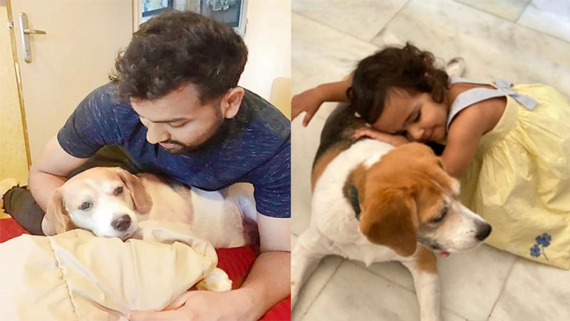 International Dog Day 2021: virat Kohli to Sachin tendulkar, these cricketers have most expensive pets with them