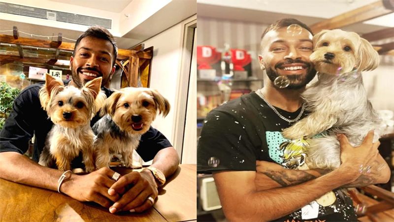 International Dog Day 2021: virat Kohli to Sachin tendulkar, these cricketers have most expensive pets with them
