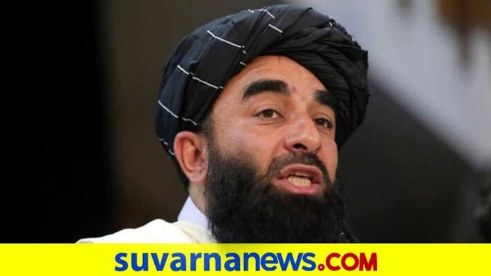 Pakistan our second home there is peace in Afghanistan says Taliban spokesperson dpl Pakistan our second home there is peace in Afghanistan says Taliban spokesperson dpl