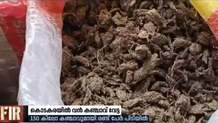 150 Kg ganja seized from thrissur kodakara and two arrested 150 Kg ganja seized from thrissur kodakara and two arrested