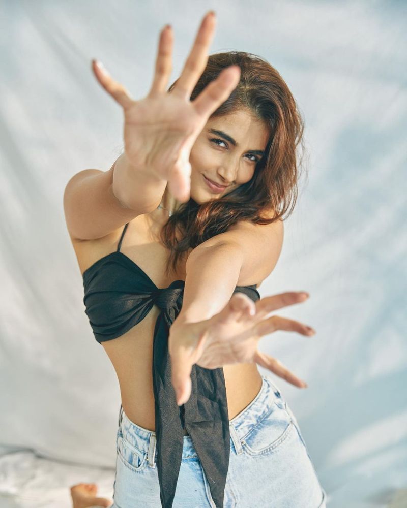 heroin pooja hegde sizzles in designer saree her latest photos blows your mind for sure