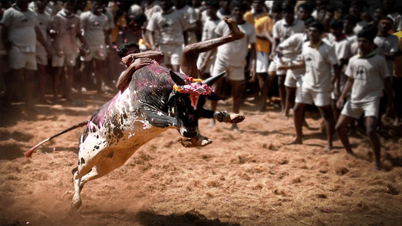 National Sports Day 2021 : 10 Popular Games that made by India and played here first