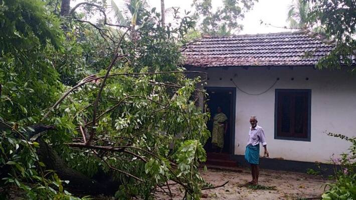 tree fell on the house in Alappuzha tree fell on the house in Alappuzha