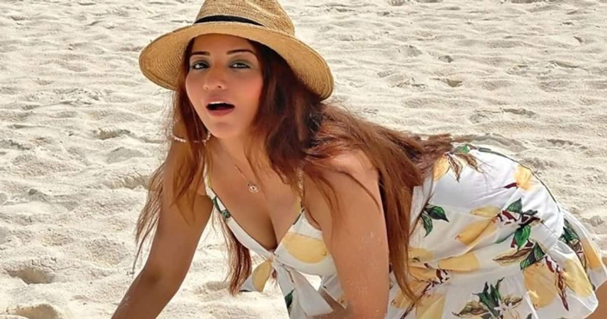 Amrpali Ka Pela Pali Chahiye Download - Sexy Video: Bhojpuri actress Monalisa and Pawan Singh's romantic song  'Muaai Dihala Rajaji' goes viral (Watch)