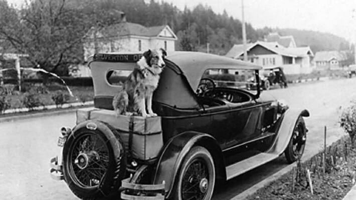 story of bobbie the dog story of bobbie the dog