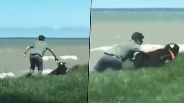 Check out how a man saves his pet dog from rolling off the cliff; video goes viral - gps Check out how a man saves his pet dog from rolling off the cliff; video goes viral - gps