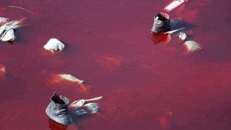 Fake photo of red river with blood in the name of Kabul blast goes viral