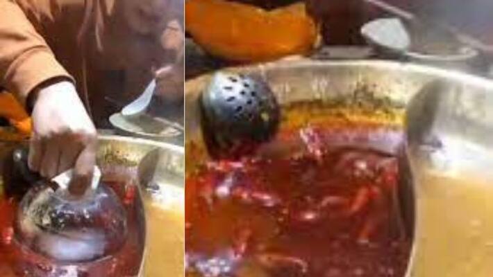 Viral Food Hack to Remove Oil from Curry Viral Food Hack to Remove Oil from Curry