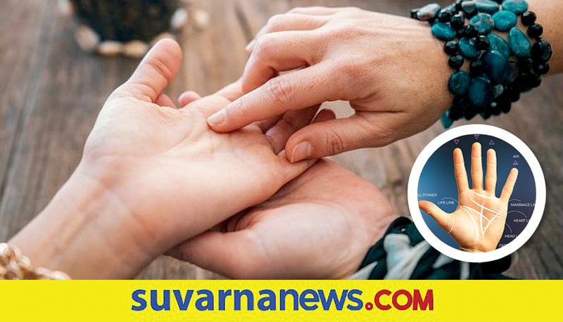 Is there an 'H' mark on the palms? Learn the secret of it!