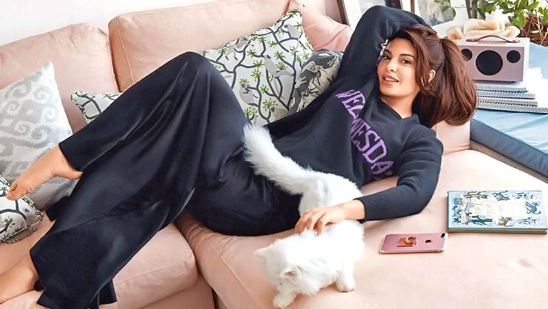 Jacqueline Fernandez net worth make you shocked bjc