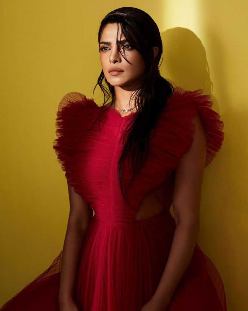 priyanka chopra hottest photo shoot just killing