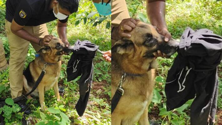 missing woman found from thiruvananthapuram missing woman found from thiruvananthapuram
