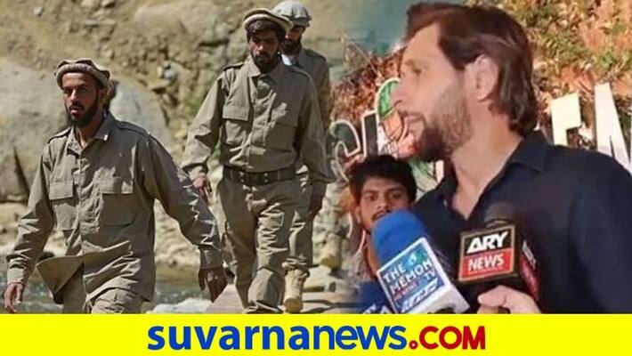 Twitter Reaction Shahid Afridi Over Open Support For Taliban Netizens Call Him Next PM Of Pakistan kvn Twitter Reaction Shahid Afridi Over Open Support For Taliban Netizens Call Him Next PM Of Pakistan kvn
