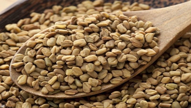 fenugreek herb with impressive health benefits if drink its water