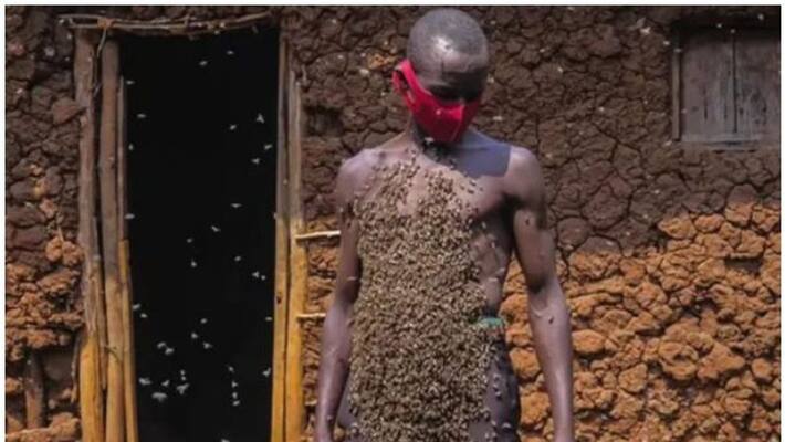 Man with a Beehive on chest, secret of not getting stung yet africa Man with a Beehive on chest, secret of not getting stung yet africa