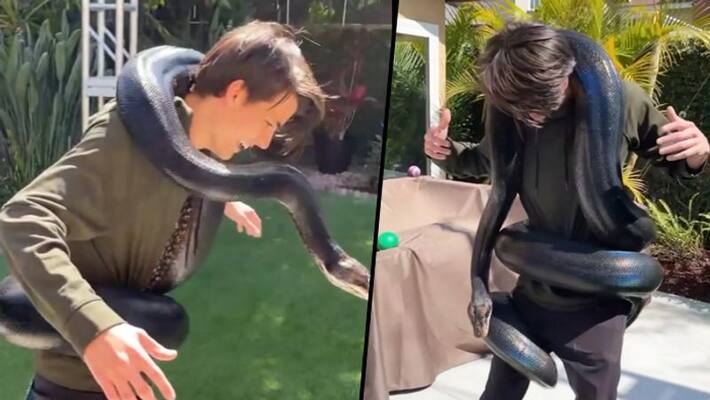 Man walks with huge colourful snake video viral Man walks with huge colourful snake video viral