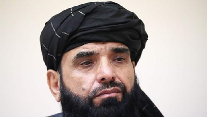 will raise for kashmir muslims, that is our right says taliban in an interview will raise for kashmir muslims, that is our right says taliban in an interview