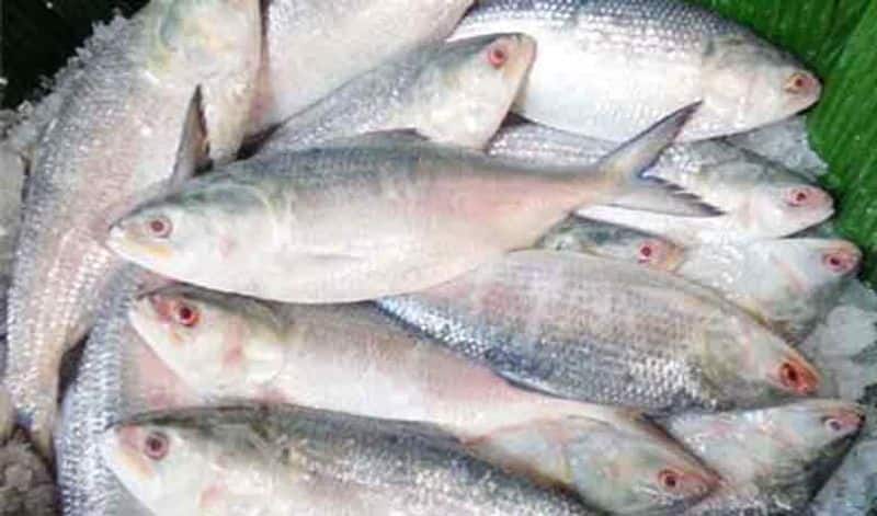 Oops .. sale of fish caught several days ago ..? 200 kg of spoiled fish seized