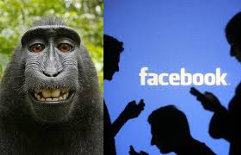 Clearly Unacceptable Error: Facebook After Labeling Black Men Primates