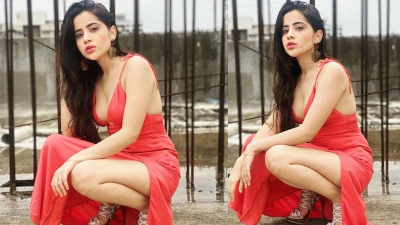 Bigg Boss OTT's Urfi Javed once opened up about struggles of being a Muslim and more RCB