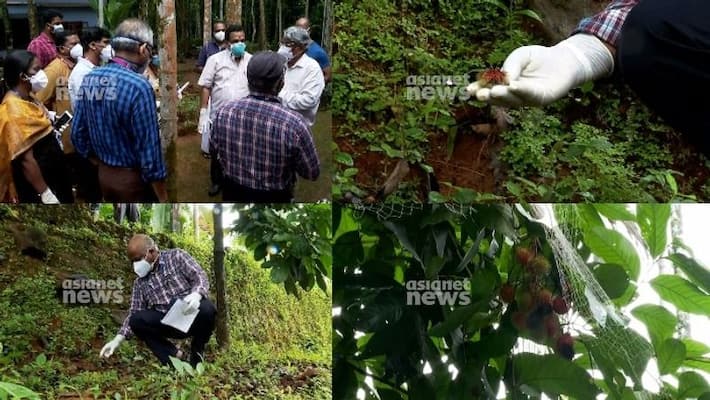 Nipah virus threat re-emerges in Kerala, at least 188 people under observation VPN Nipah virus threat re-emerges in Kerala, at least 188 people under observation VPN
