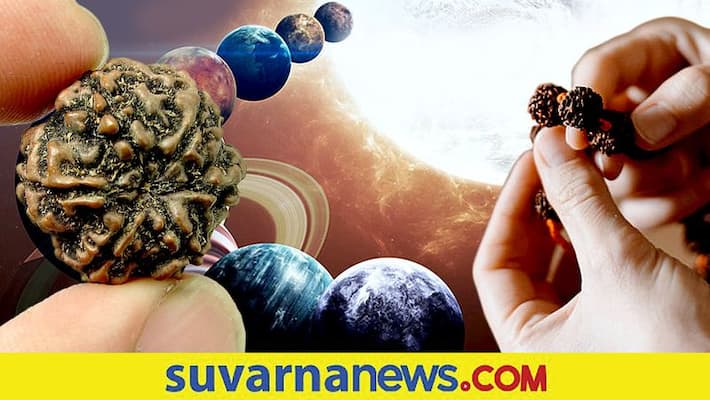 This rudraksha is help to prevent the evil influence of the planets This rudraksha is help to prevent the evil influence of the planets