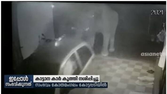 elephant attack car parked in porch elephant attack car parked in porch