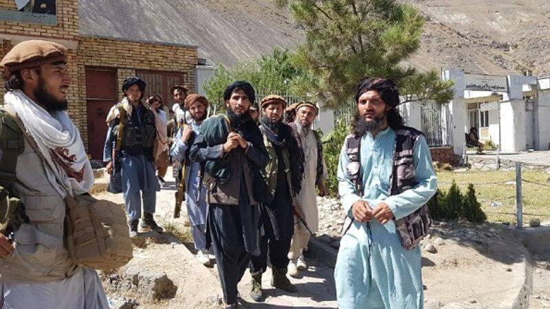 Taliban in social media