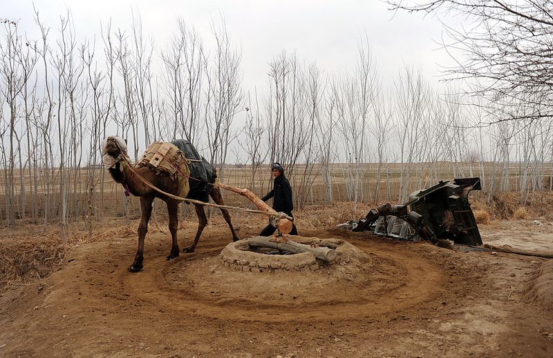 humanitarian crisis in Panjshir after the fall