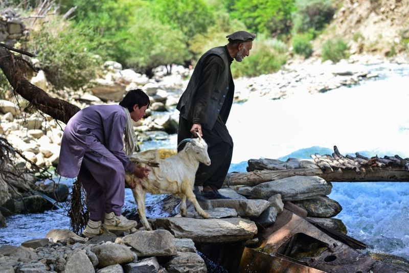 humanitarian crisis in Panjshir after the fall
