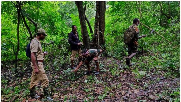 T23 Tiger search ooty T23 Tiger search ooty