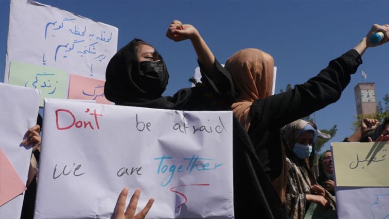 afghanistan crisis, mass movement against Taliban and Pakistan