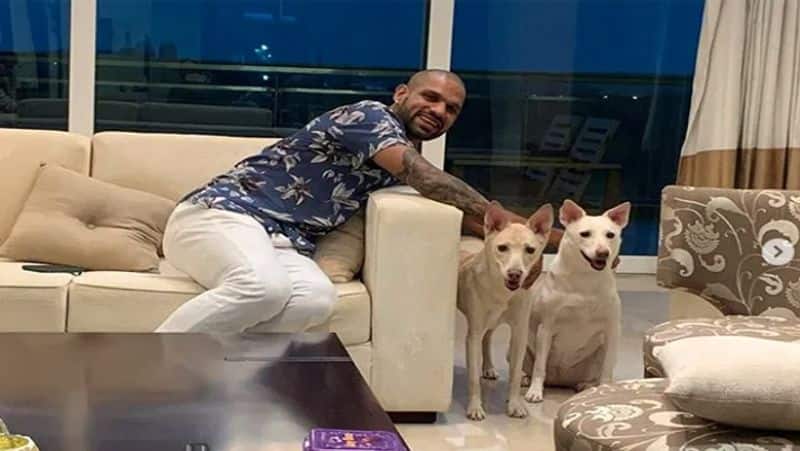 Shikhar Dhawan Divorce: Know about cricketer Net Worth, Salary, House and Cars