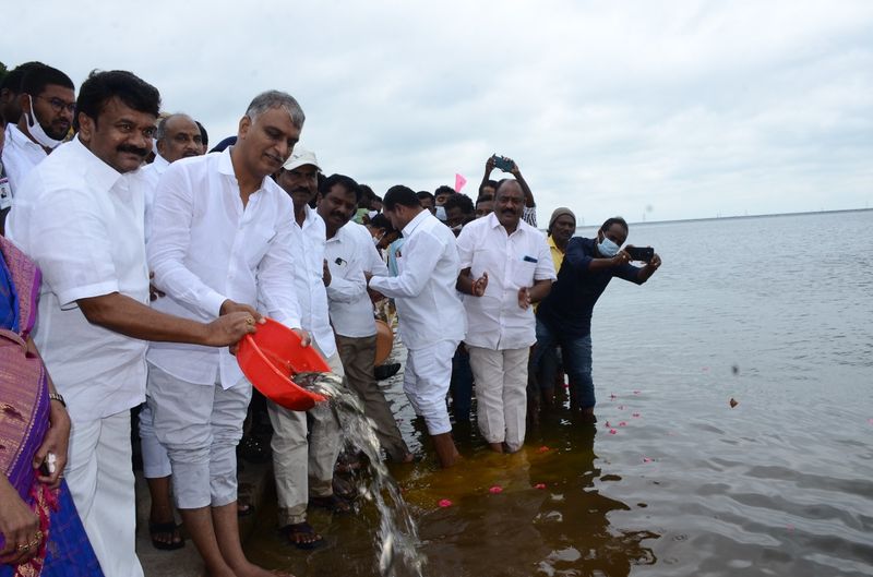 Minister Harish Rao releases fishlings into Ranganayaka Sagar
