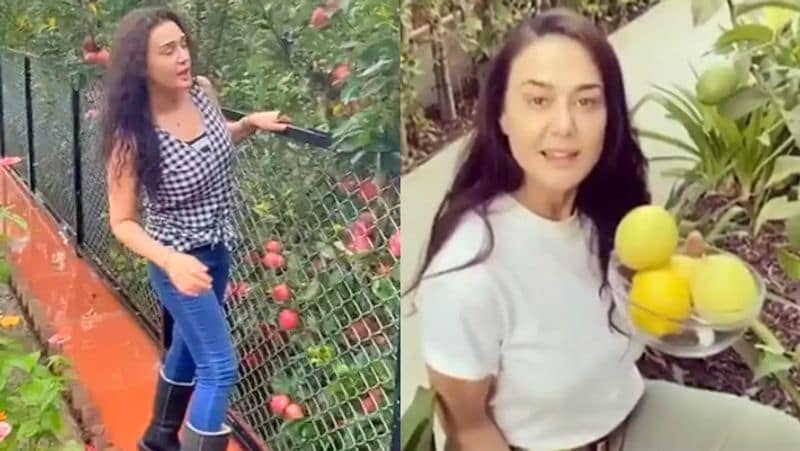 Preity Zinta away from industry shared picture from her farmhouse enjoying in apple farm