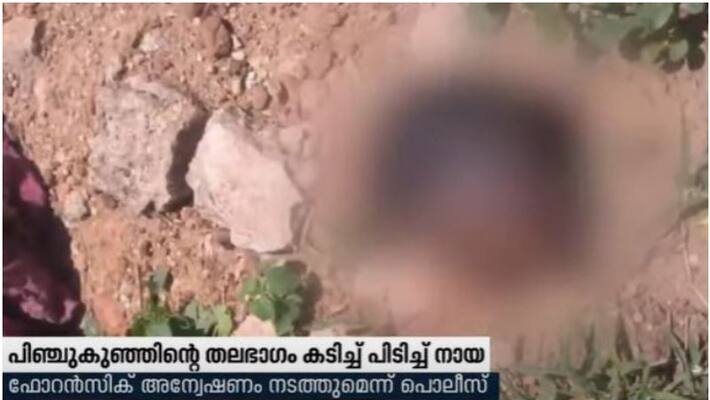 Babys severed head recovered from stray dog Babys severed head recovered from stray dog