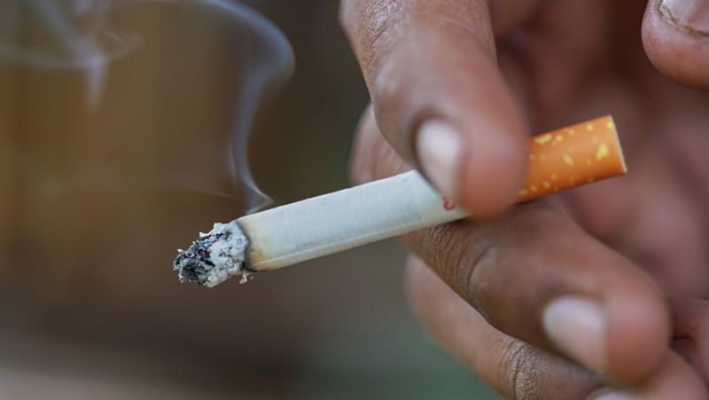 Punjab businessman living in Mohali started the business of recycling cigarette filters