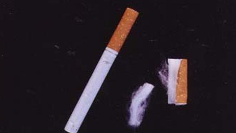Punjab businessman living in Mohali started the business of recycling cigarette filters