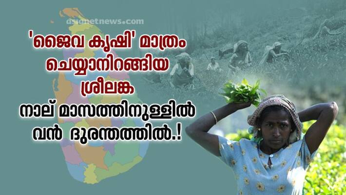Sri Lanka overnight flip to total organic farming has led to an economic disaster Sri Lanka overnight flip to total organic farming has led to an economic disaster